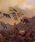 Martin Johnson Heade Frilled Coquette painting